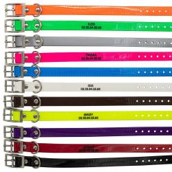 Colliers à graver dans la masse BIOGOLD petit chien et chiot 11 coul. Jaune