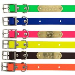 Colliers à graver sur plaque BETA petit chien et chiot 6 couleurs Vert fluo