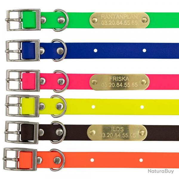 Colliers à graver sur plaque BETA petit chien et chiot 6 couleurs Vert fluo