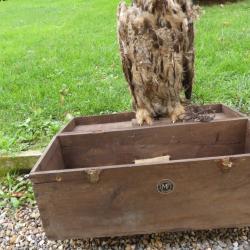 appelant grand duck articulé Manufrance sortie de grenier