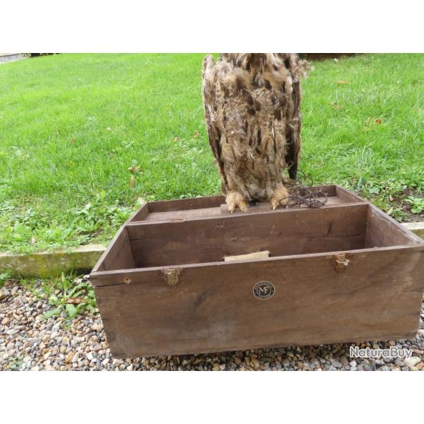 appelant grand duck articul Manufrance sortie de grenier