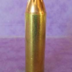 UNE !!! SUPERBE Cartouche cal. 450 BUSHMASTER balle" FTX HORNADY"