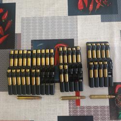 lot cartouches chasse 9.3x62