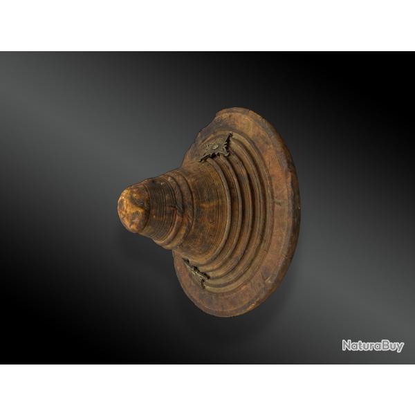 BOUCLIER DE COMBAT en PEAU, OMAN ou ZANZIBAR Afrique de l'Est, Début XIXème siècle