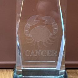 TRES BEAU PRESSE PAPIER