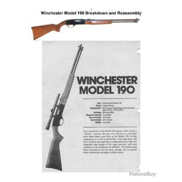 dossier notice carabine WINCHESTER 190 (envoi par mail) - VENDU PAR JEPERCUTE (m2560)