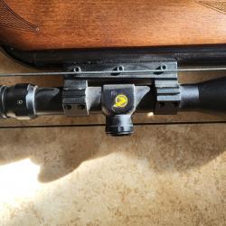 Carabine à plomb Gamo Hunter