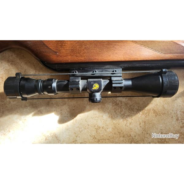 Carabine à plomb Gamo Hunter