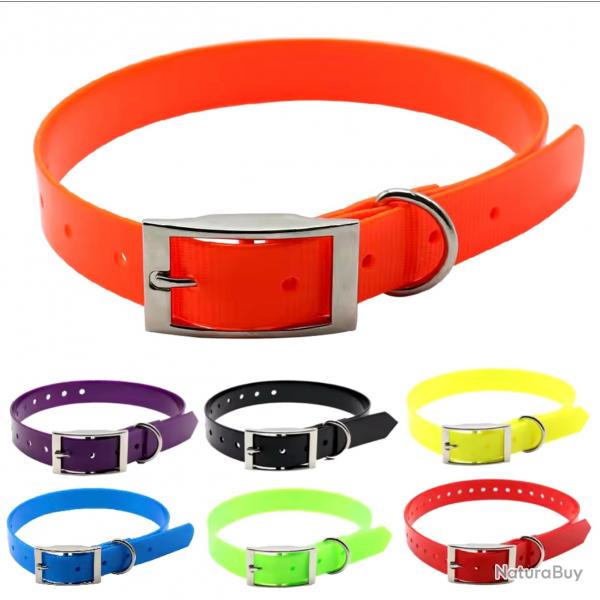 Collier Fluo - Chien de Chasse