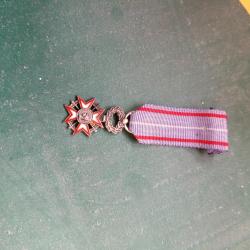 Miniature Médaille merite culturel