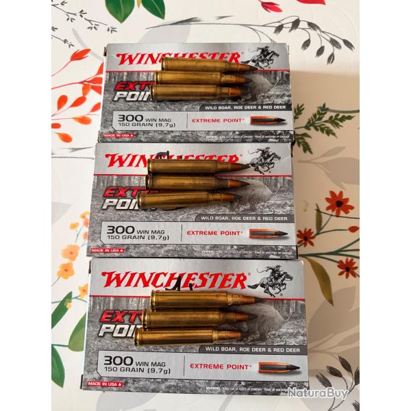 Balles Winchester extrme point 300 WM