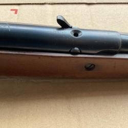 Carabine à plomb