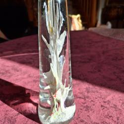 Grande Sulfure Conique Hauteur 20 Cm XIXè Siècle Très Bel état