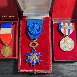Lôt médailles Ordre National du mérite