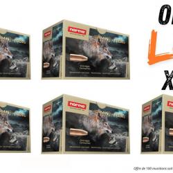 Lot munitions Norma Varmint Xtreme 55g - Cal. 222 Rem - X100 munitions