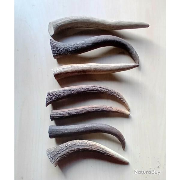 Bois de cerf naturel