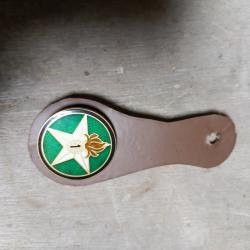 Insigne Légion Etrangère: Compagnie Montée du 1° R.E.I