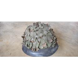 casque armée Française