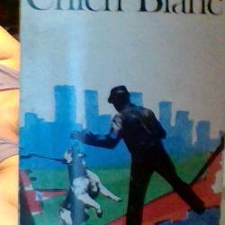 Chien blanc par Romain Gary - Folio -