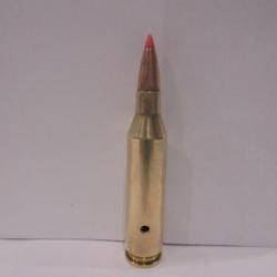 UNE  cartouche cal.243 WINCHESTER NEUTRALISEE  BALLE "SST HORNADY"  .