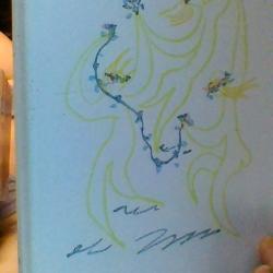 Feu Mathias pascal par Luigi Pirandello - Collection prix Nobel de Litterature -