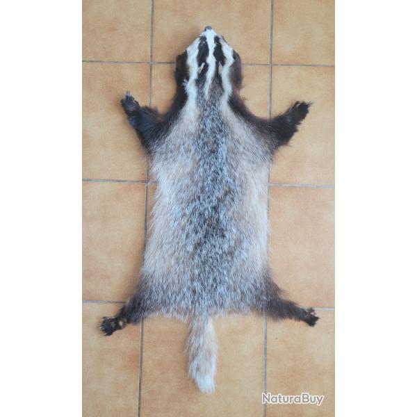 Peau de blaireau avec griffes