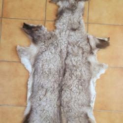 Peau de chamois