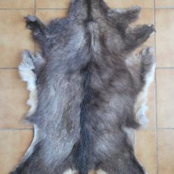 Peau de chamois d'hiver