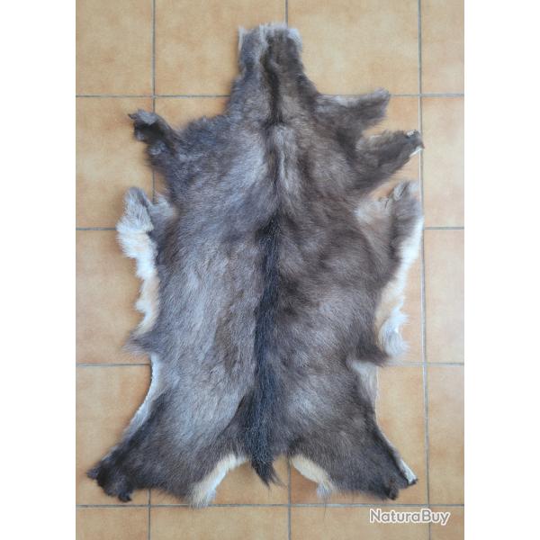 Peau de chamois d'hiver