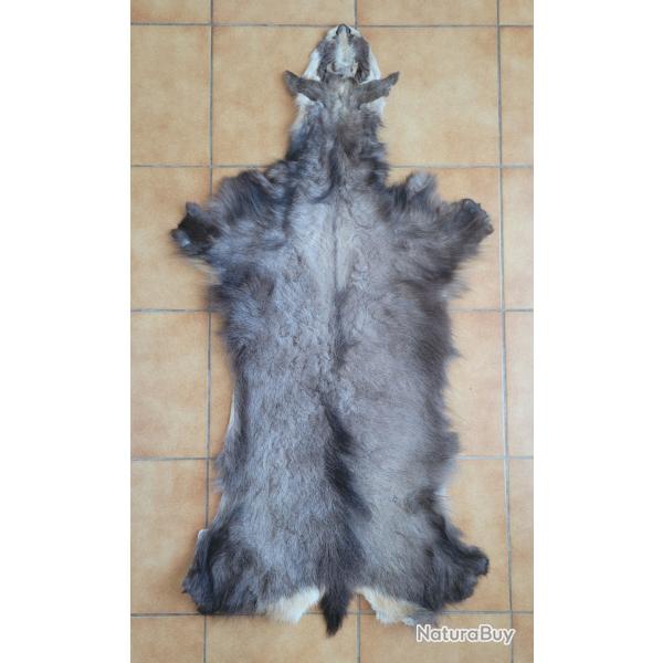 Peau de chamois d'hiver avec tte