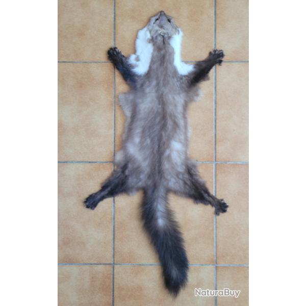 Peau de fouine avec griffes