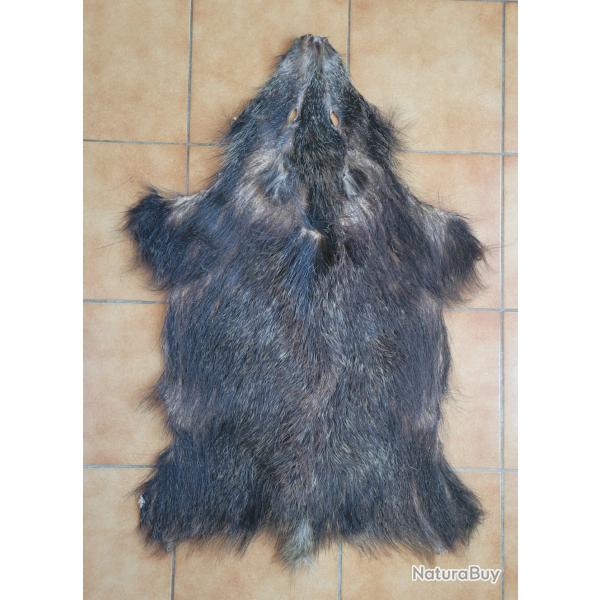 Peau de sanglier noir