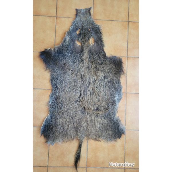 Peau de sanglier marron
