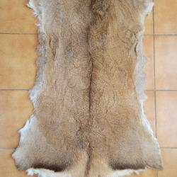 Peau de biche