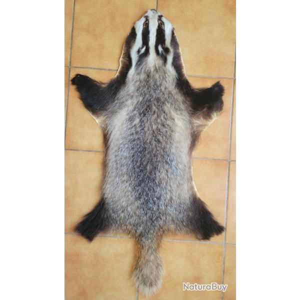 Peau de blaireau mle