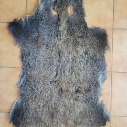 Peau de sanglier roux