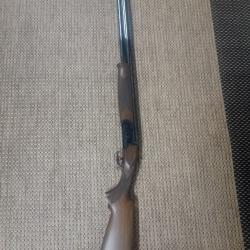 Fusil de chasse calibre 12