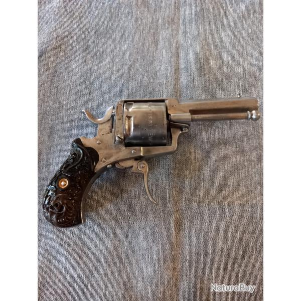 Velodog YOUNG LION 1881.