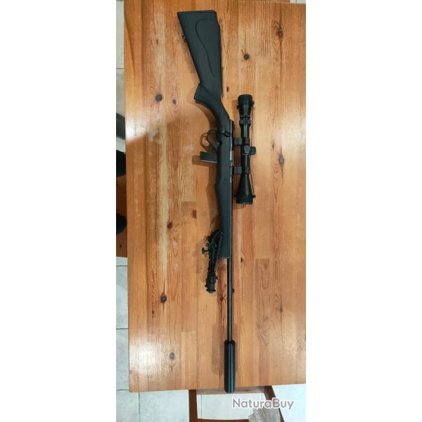 Carabine Rossi 22lr quipe