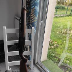 carabine semi automatique