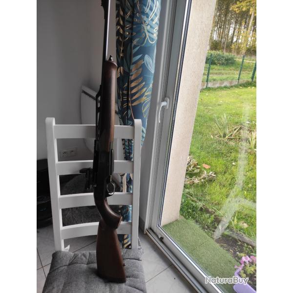 carabine semi automatique