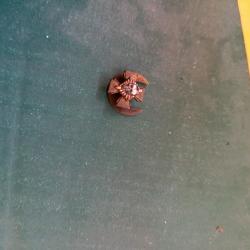 Insigne de boutonnière des croix de feu