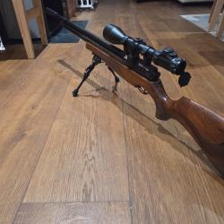 Carabine à air comprimé AIR ARMS S510