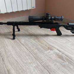 Carabine ruger précision rimfire 22lr