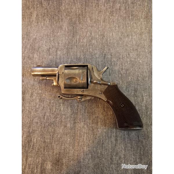 Jolie petit velodog calibre 320.