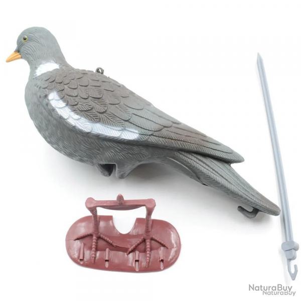 Appelant Pigeon au posé à l'unité