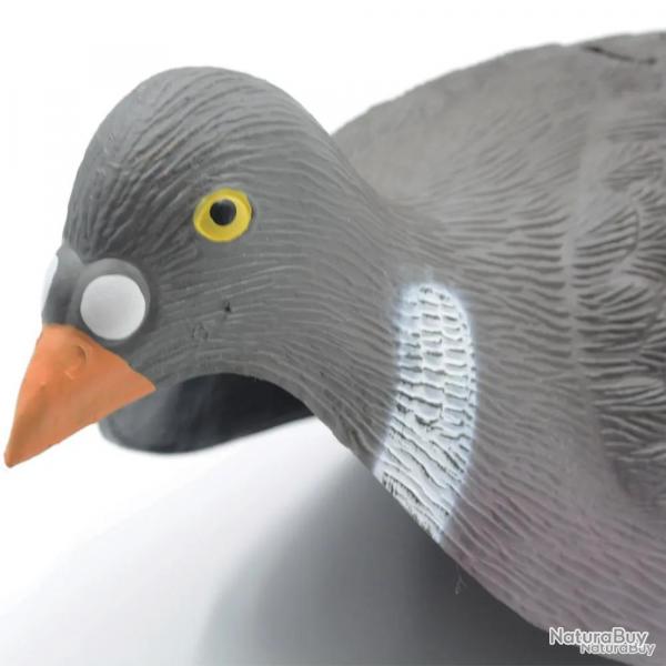 Lot de 20 Pigeons ramier en coquille léger