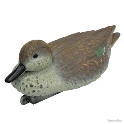 Blette de Sarcelle d'hiver femelle résistant