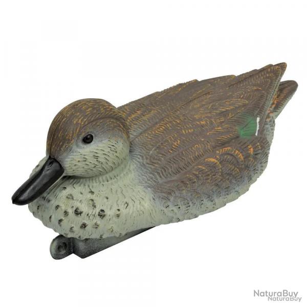 Blette de Sarcelle d'hiver femelle résistant