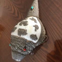 Vintage Conque Tibet signes astrologiques